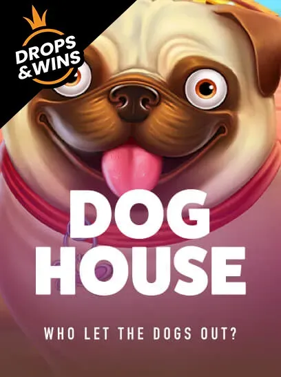 xlbet casino dog house